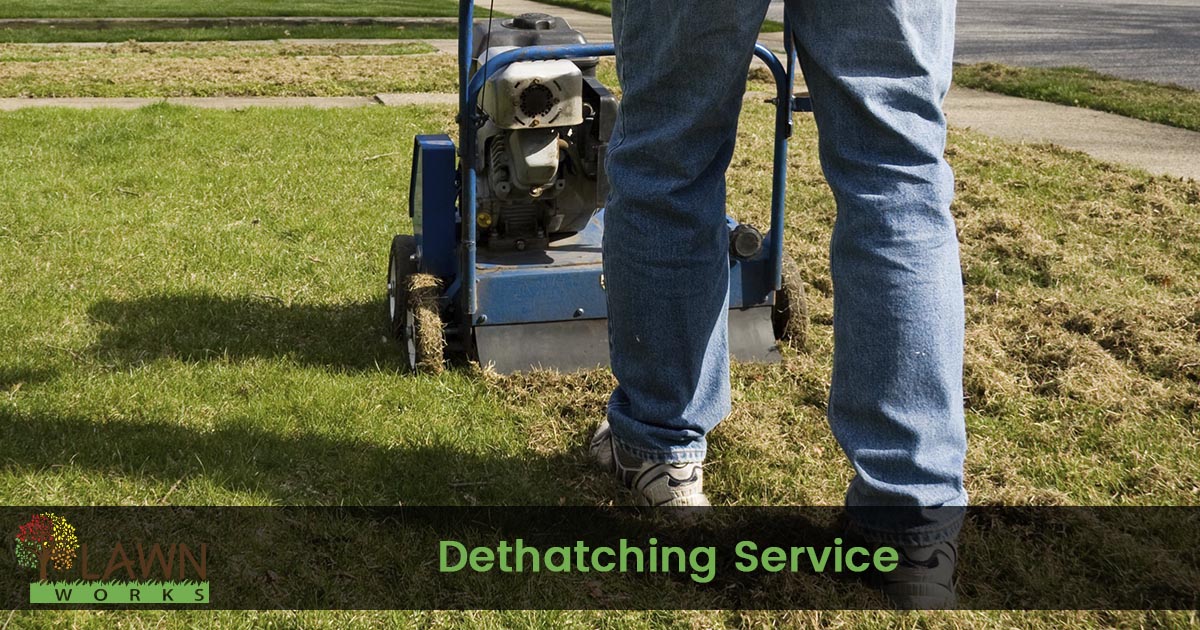 Lawn dethatching service