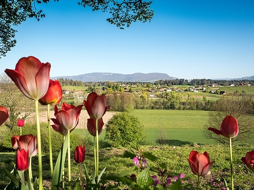 gemeinde-bannwil-be