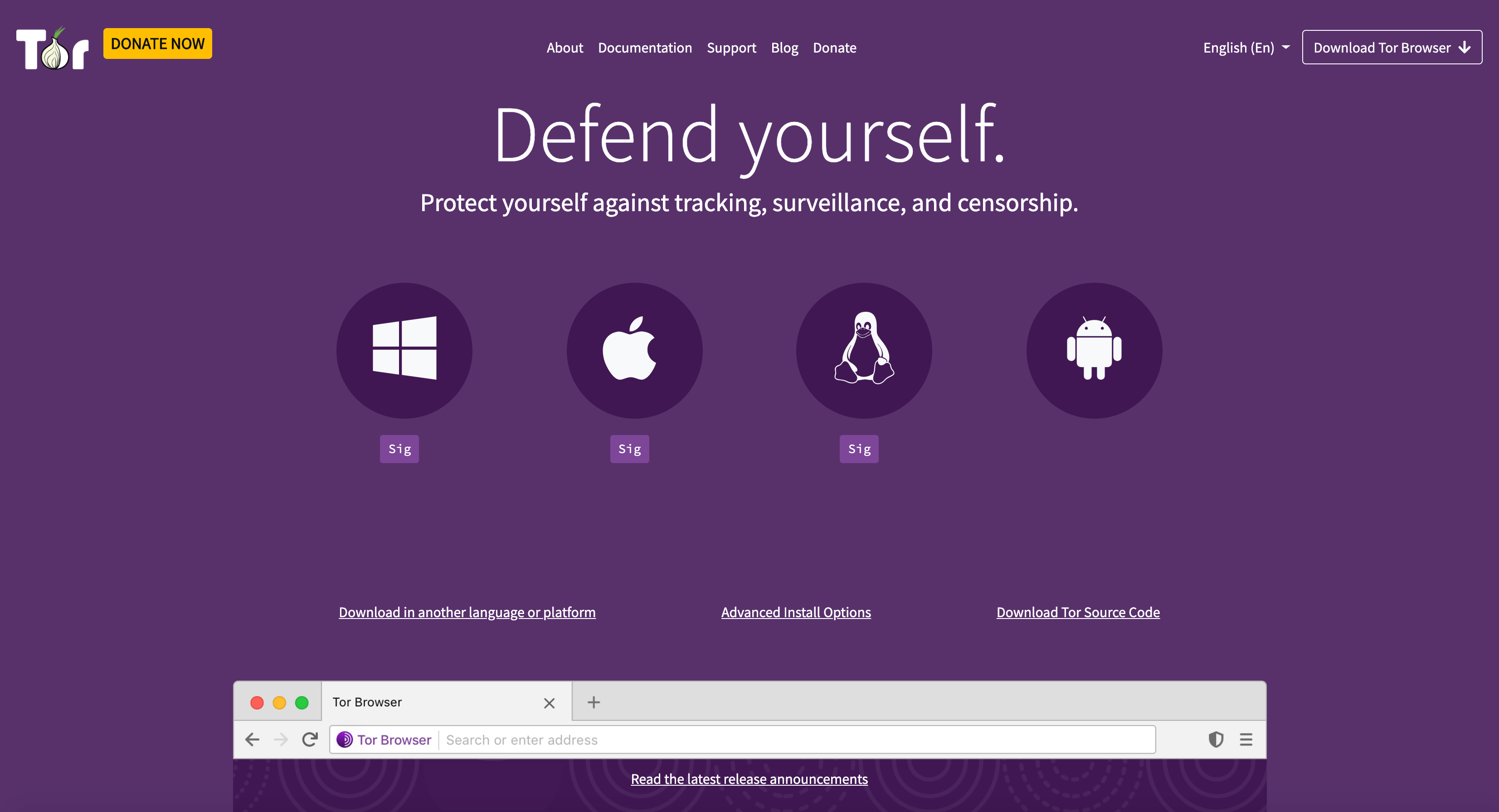 Tor browser homepage