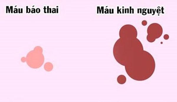 máu báo thai