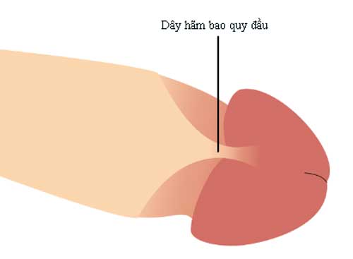 Mách bạn cách làm dài dây thắng bao quy đầu tại nhà - Home care