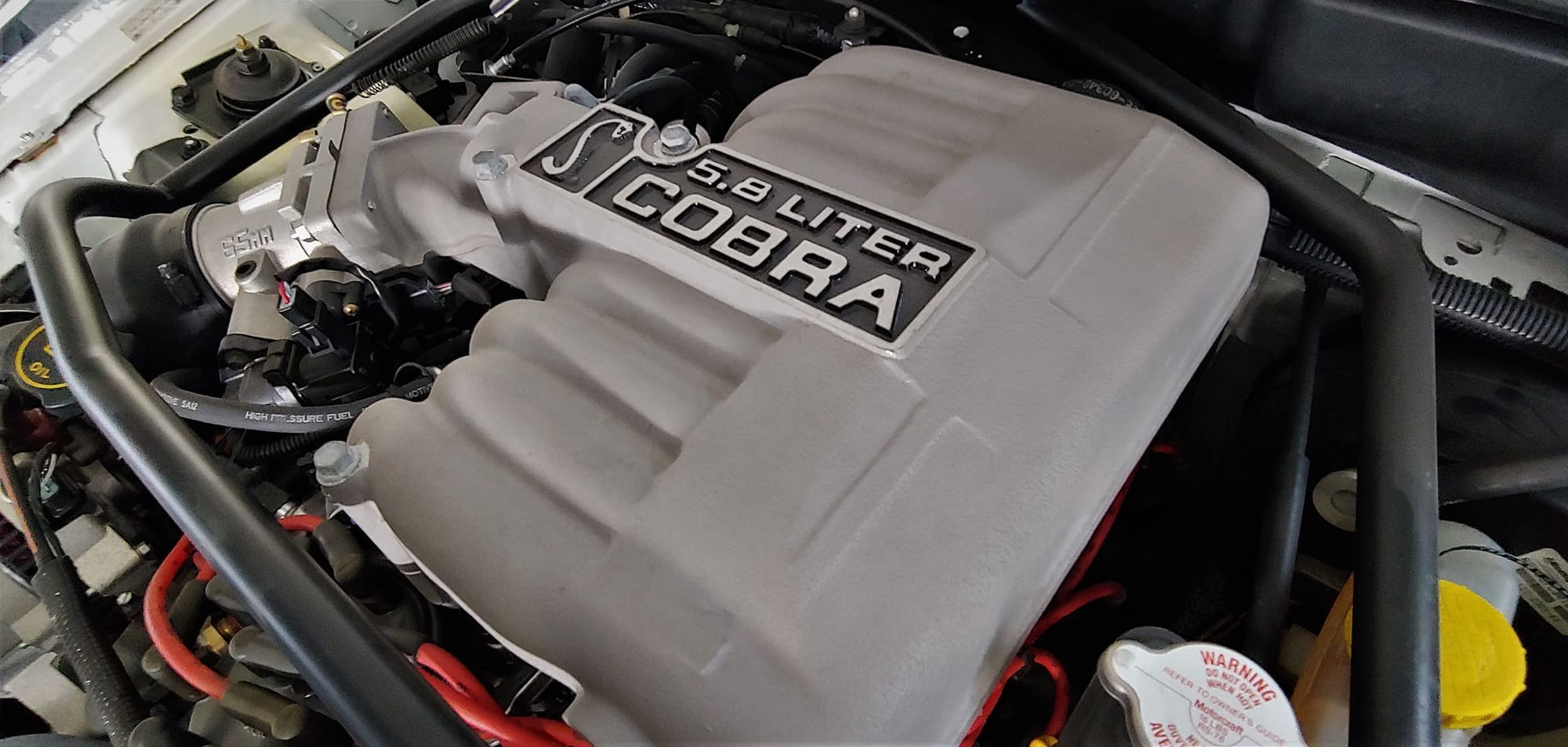 A COLLECTOR’S COBRA This 1995 Mustang Cobra R resides in the vast ...