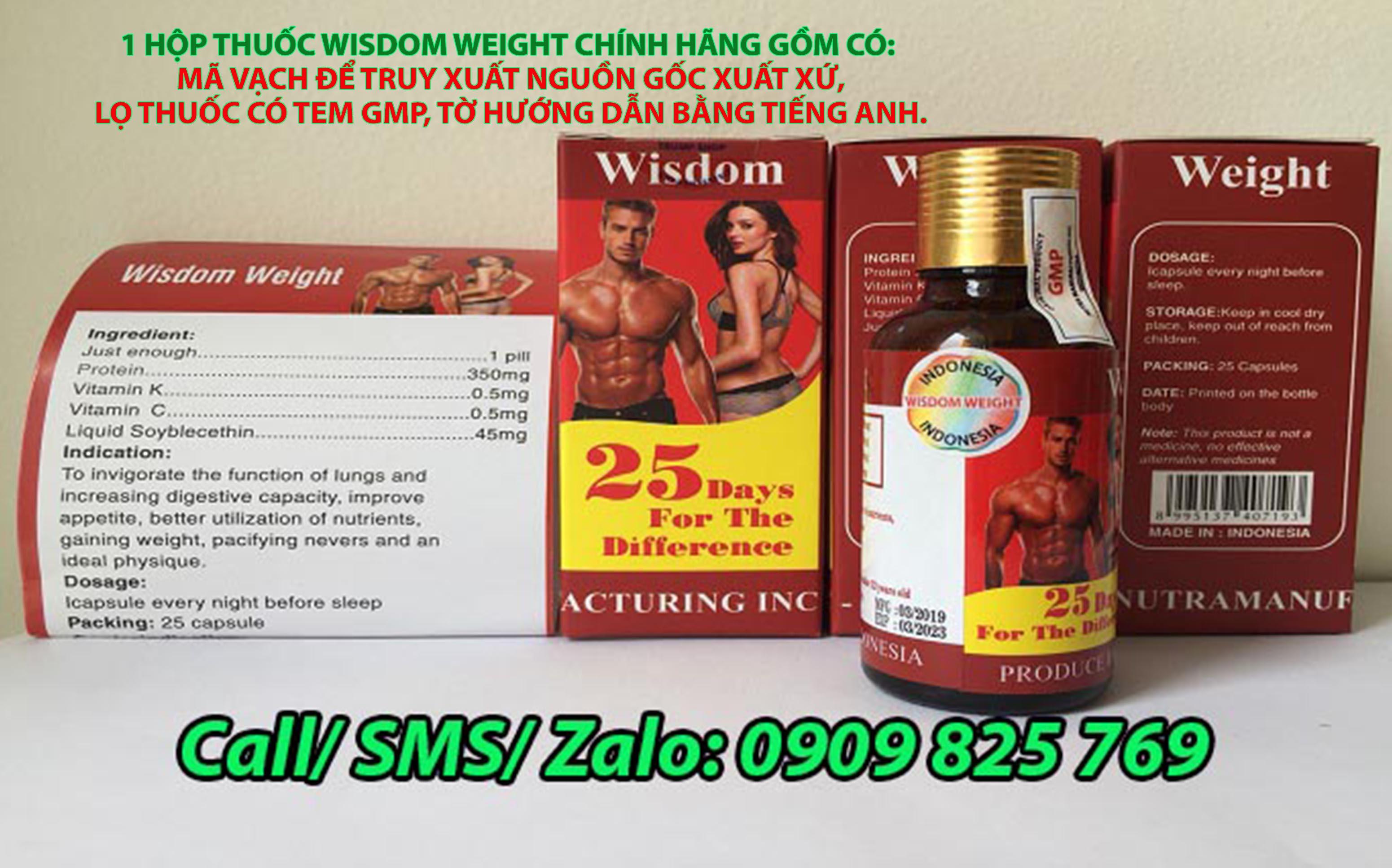 Thuốc tăng cân Wisdom Weight Indonesia