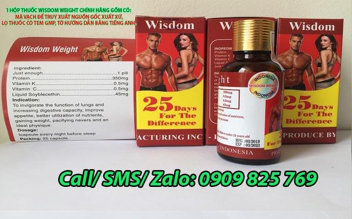 Thuốc Tăng Cân Wisdom Weight Indonesia