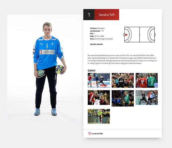 Spillerprofil