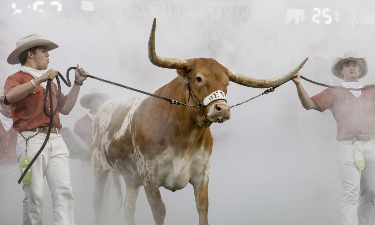 Texas Mascot Bevo XV Says “Horns Down” Sign Is More Offensive Than Any
