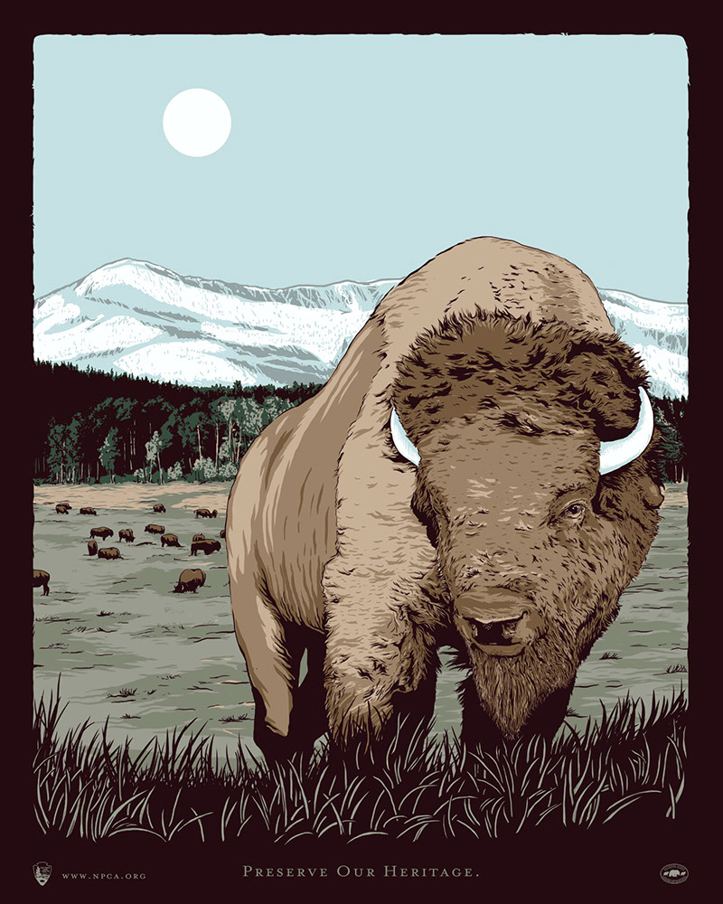 NPCA poster design