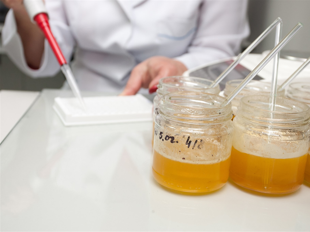 Medical grade honey in paediatric wound care HealthStaffEd