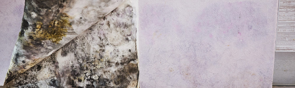 Mold inside walls