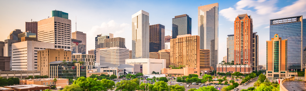 Houston SKyline in the daytime