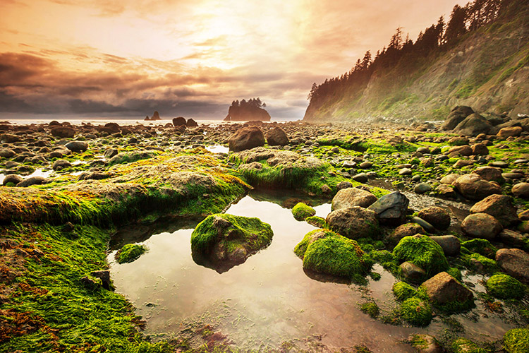 Olympic National Park