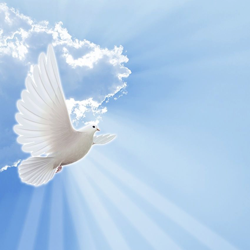 Bedtime Bible Verses Scripture For Non Violent Resting