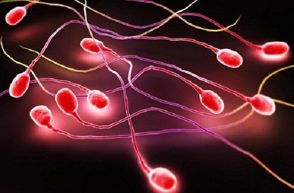 Tinh trùng màu đỏ là bệnh gì? Cách chữa trị