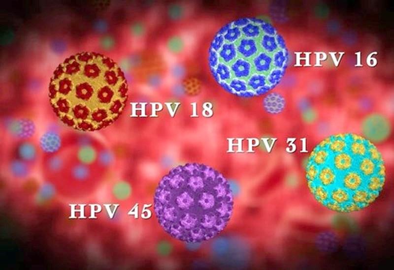 Xét nghiệm HPV: Triệu chứng, chẩn đoán và điều trị