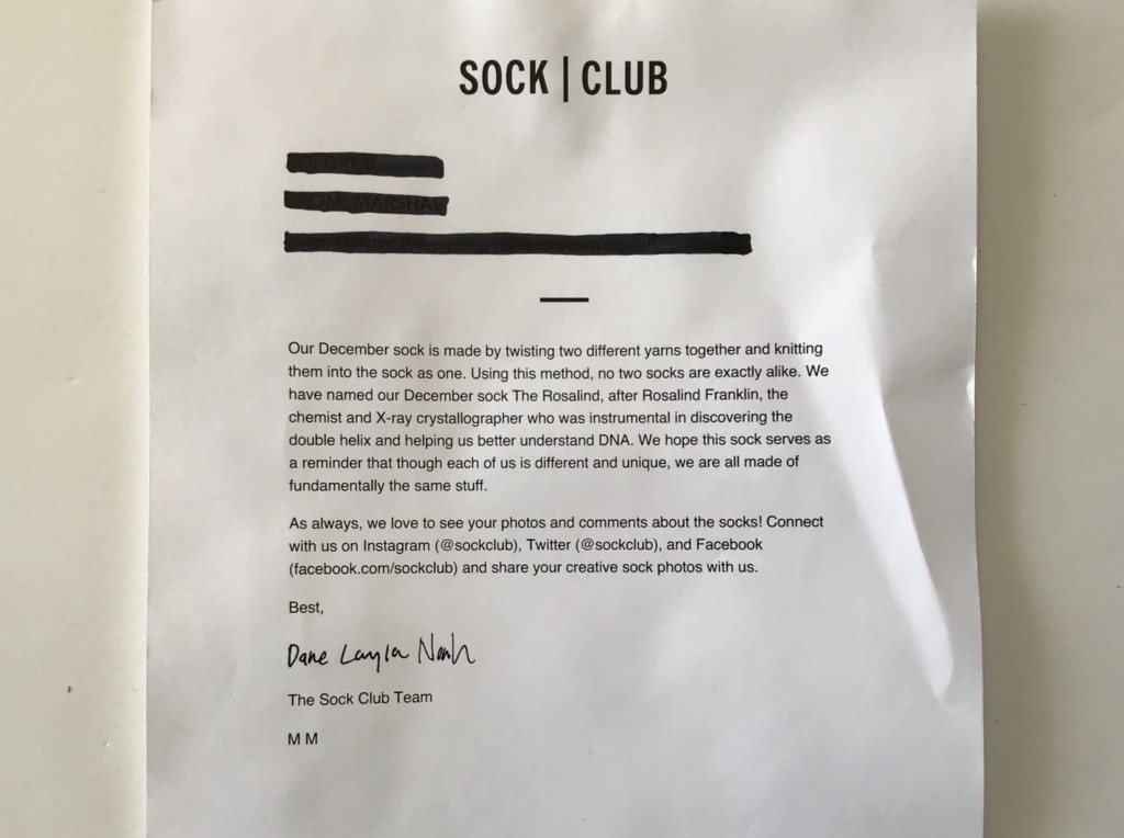 The Sock Club Review