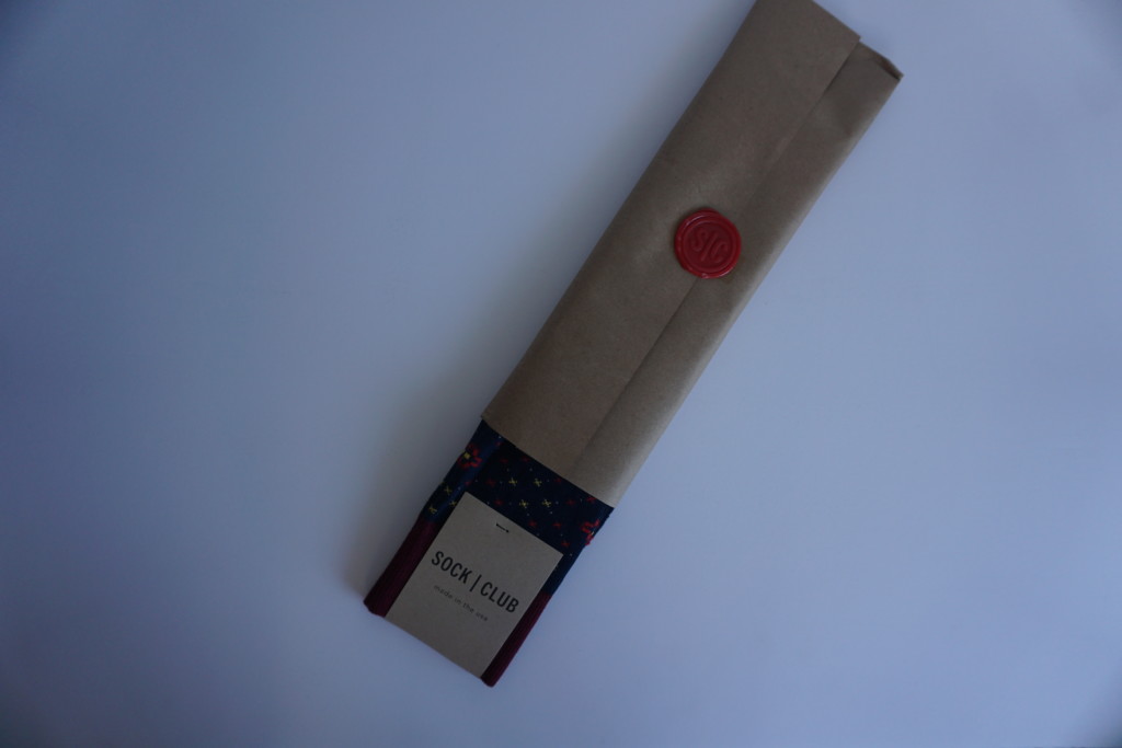 The Sock Club Review
