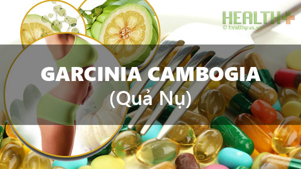 Các thành phần của Garcinia