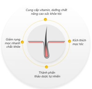 Đánh giá forso