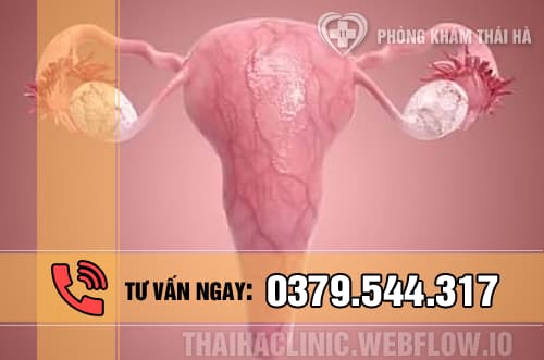 Tắc 2 vòi trứng có thai được không