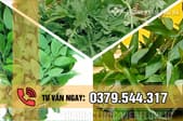 Cách phá thai tại nhà bằng phương pháp dân gian