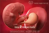 Phá thai 2 tháng tuổi như thế nào? Chi phí hết bao nhiêu tiền?