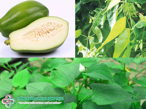 Những mẹo chữa trị bệnh trĩ bằng thảo dược dân gian