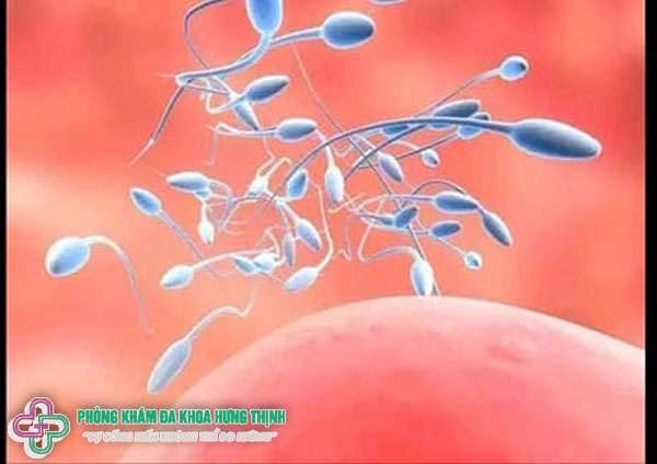 Hết kinh 8 ngày quan hệ có bầu không?
