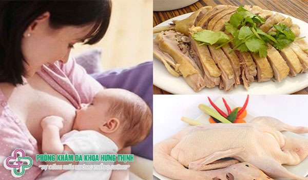 Mẹ bầu ăn thịt vịt có tốt không? Dinh dưỡng trong thịt vịt như thế nào?
