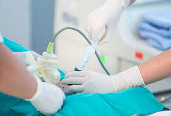 Xét nghiệm trước sinh là gì?