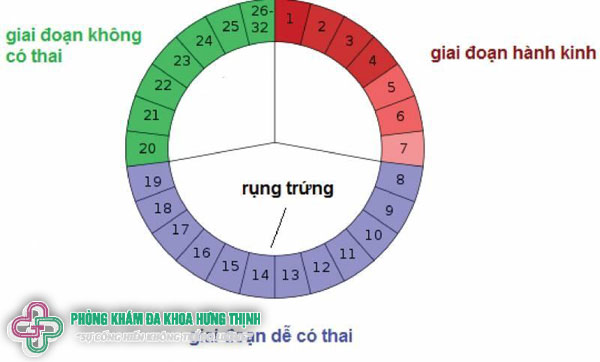 Ngày rụng trứng là ngày nào?