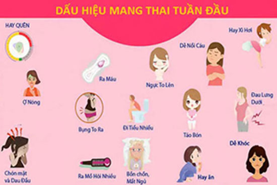 15 dấu hiệu mang thai dễ nhận biết nhất