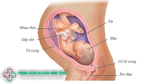 Những thay đổi của thai phụ khi thai nhi 36 tuần tuổi