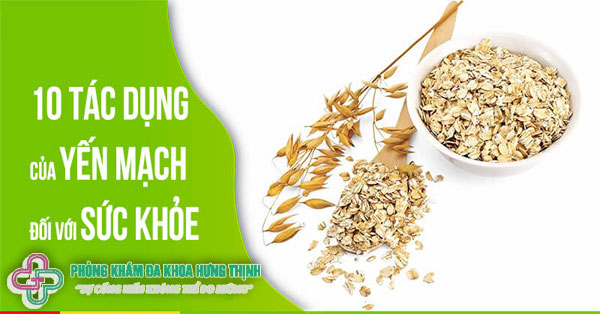Ăn yến mạch có tác dụng gì cho sức khỏe? 10 công dụng yến mạch phổ biến
