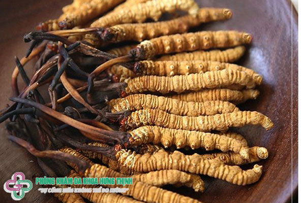 Đông trùng hạ thảo là gì?