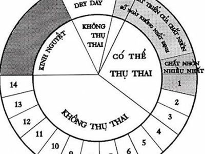 Cách tính ngày rụng trứng nếu kinh nguyệt không đều