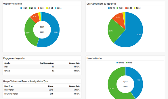 Google Analytics Dashboards_demographic.png