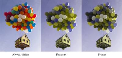 Red Green Color Blindness