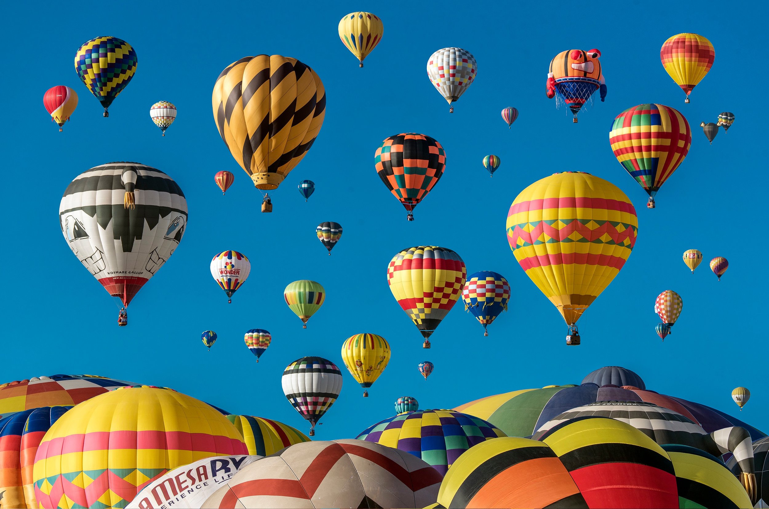An Unsplash photo of hot air balloons in my hometown, Albuquerque, NM.