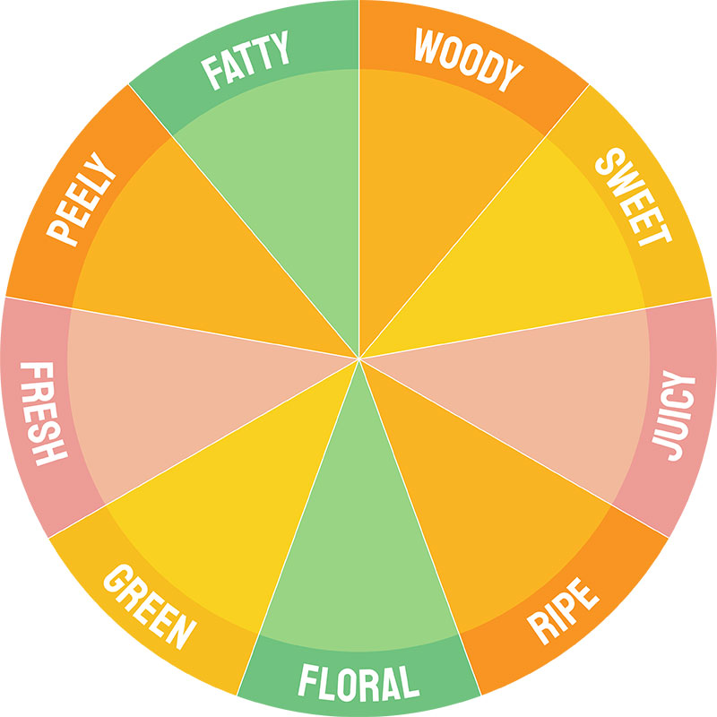 Citrus and Tropical Flavors Florida Worldwide Citrus