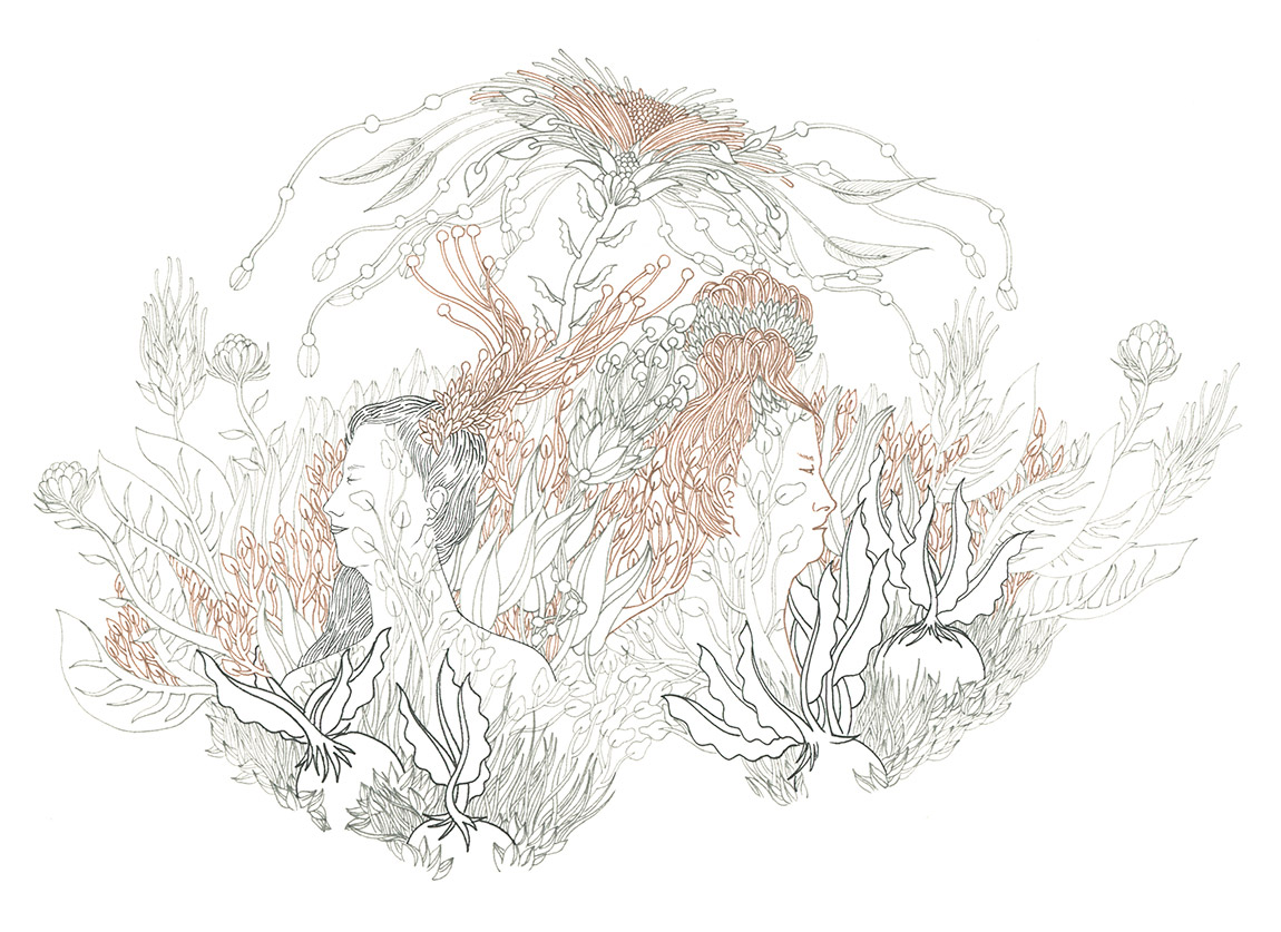 Ilustración de Laura Behnke - Ilustradores chilenos por 2Design Blog