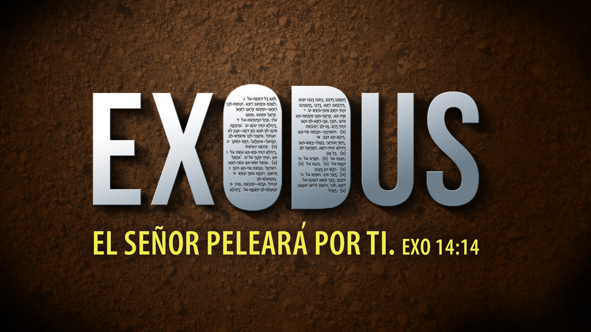 Nuevos devocionales