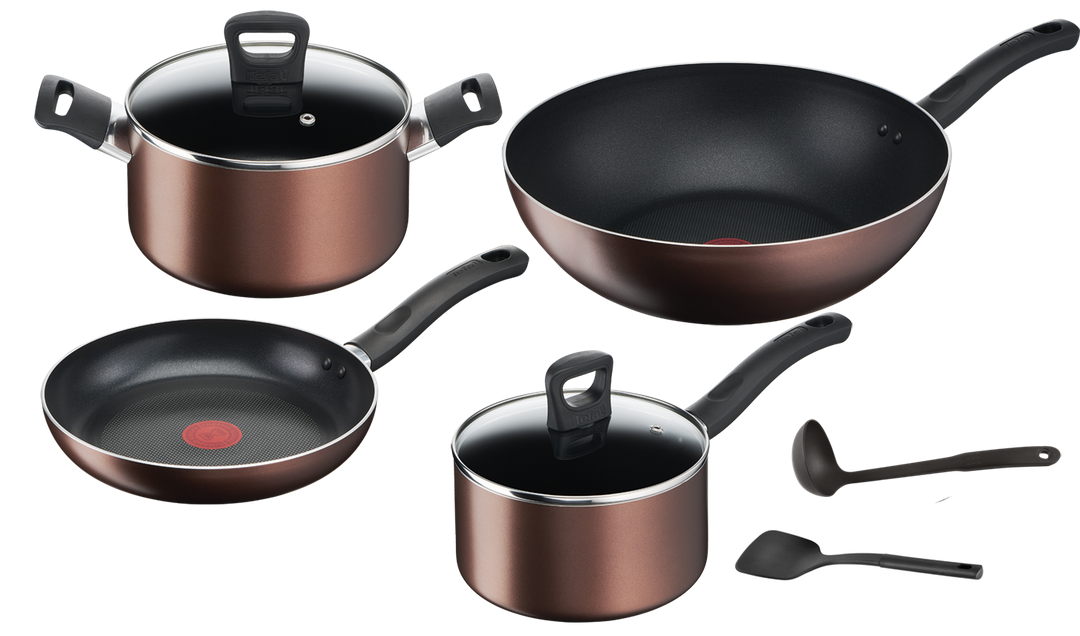 Best cookware in the Philippines Tefal Philippines
