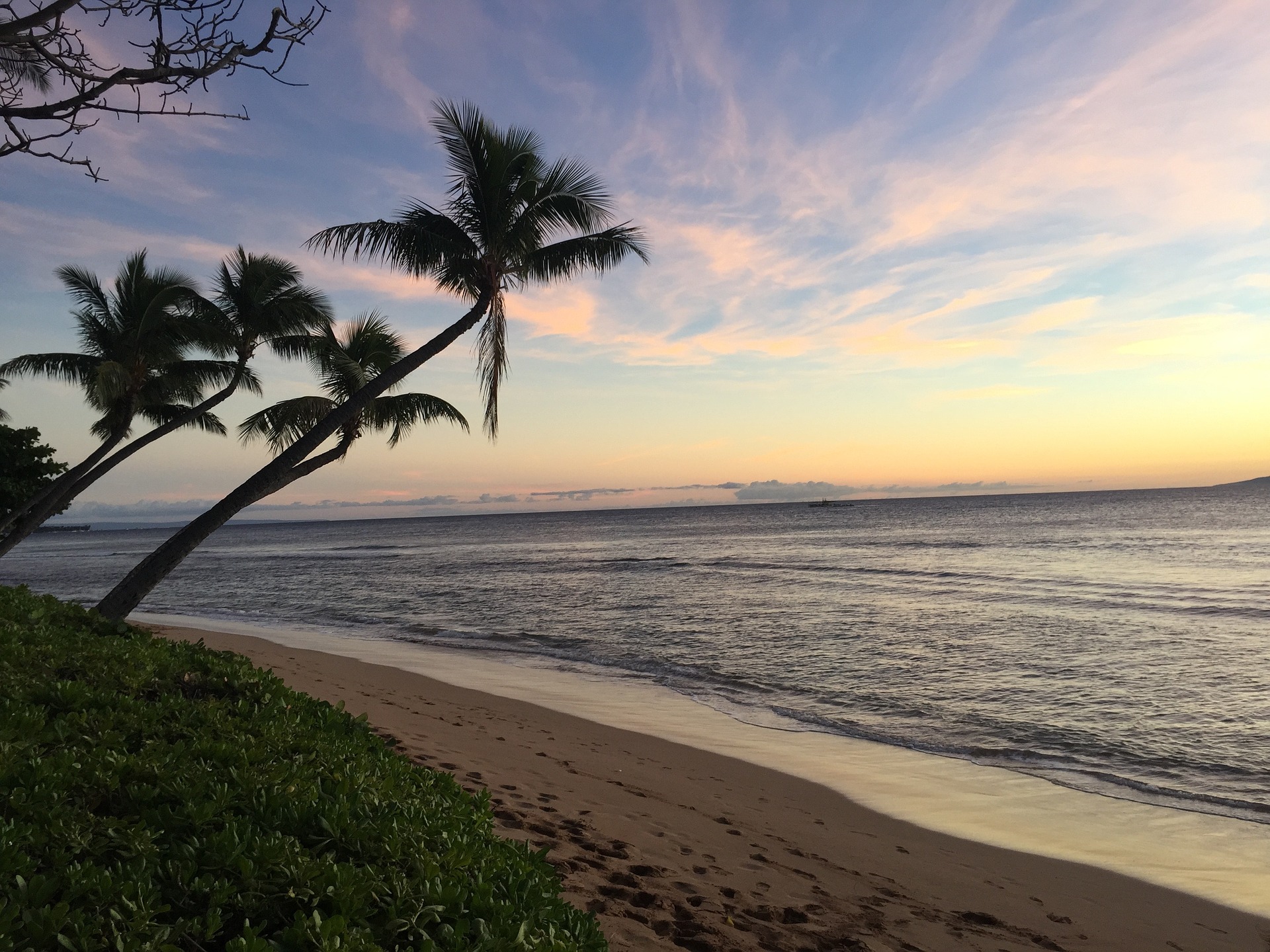 The Molokai