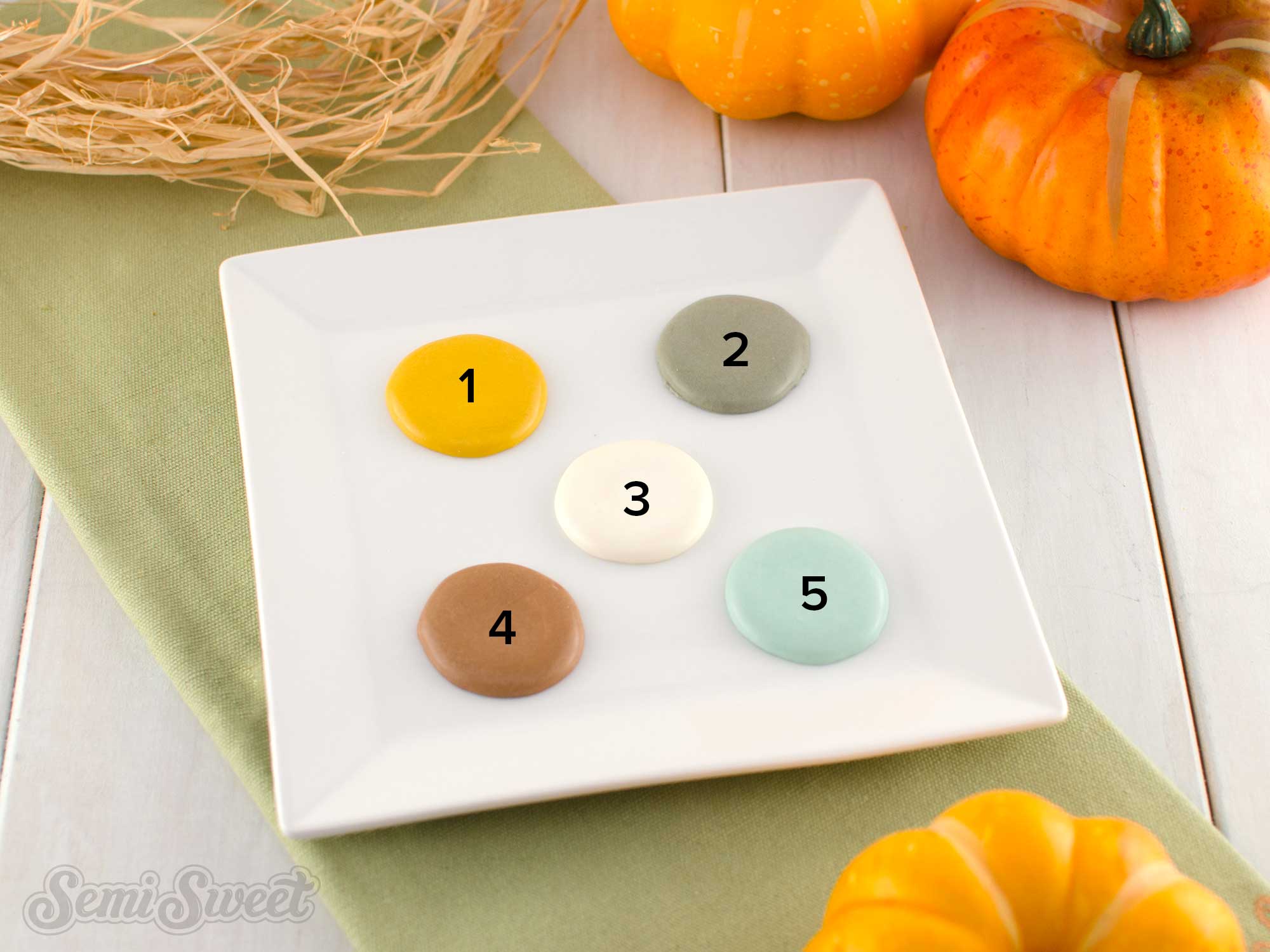 cool and cozy fall color palette