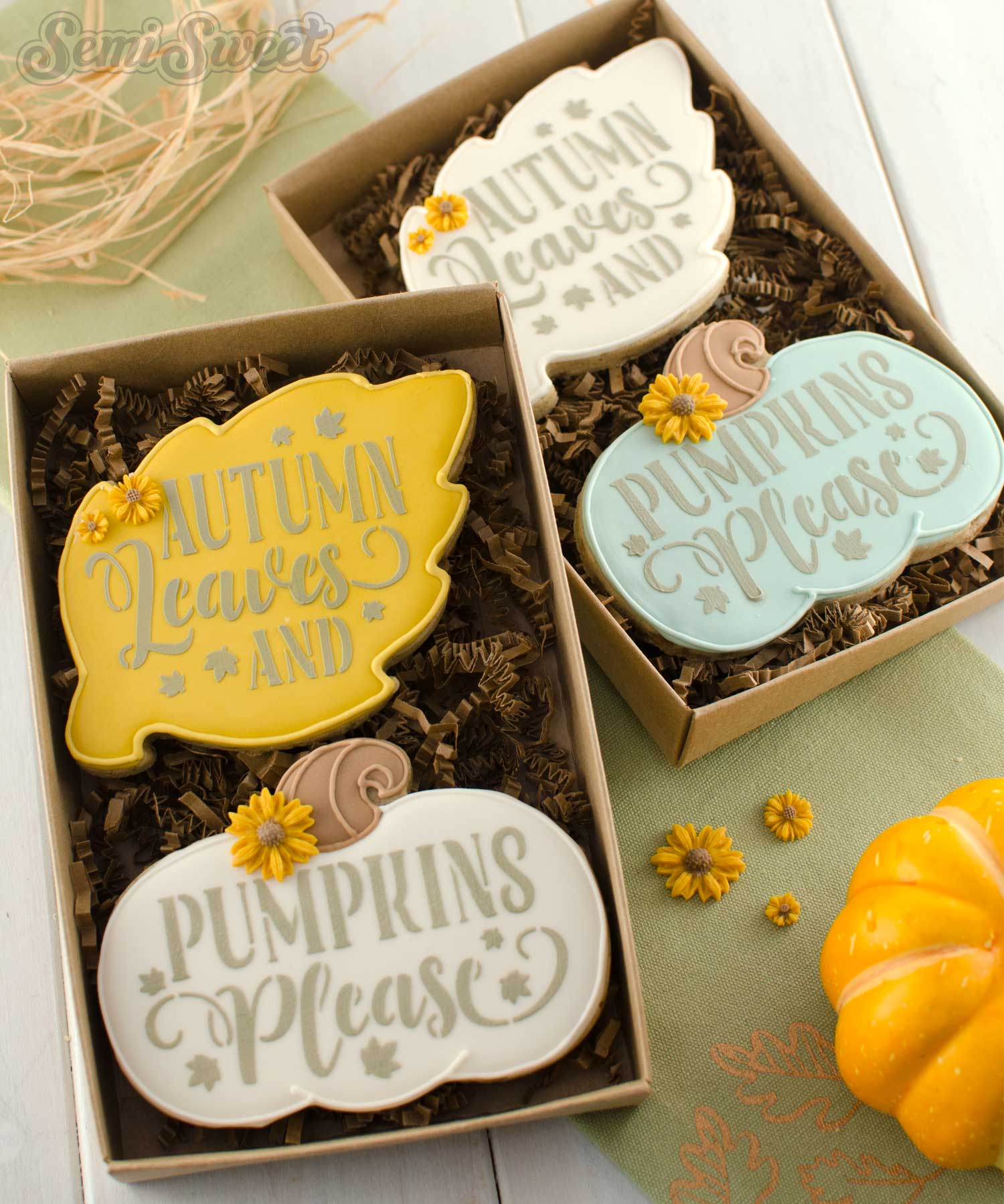 autumn leaves & pumpkins please cookie set