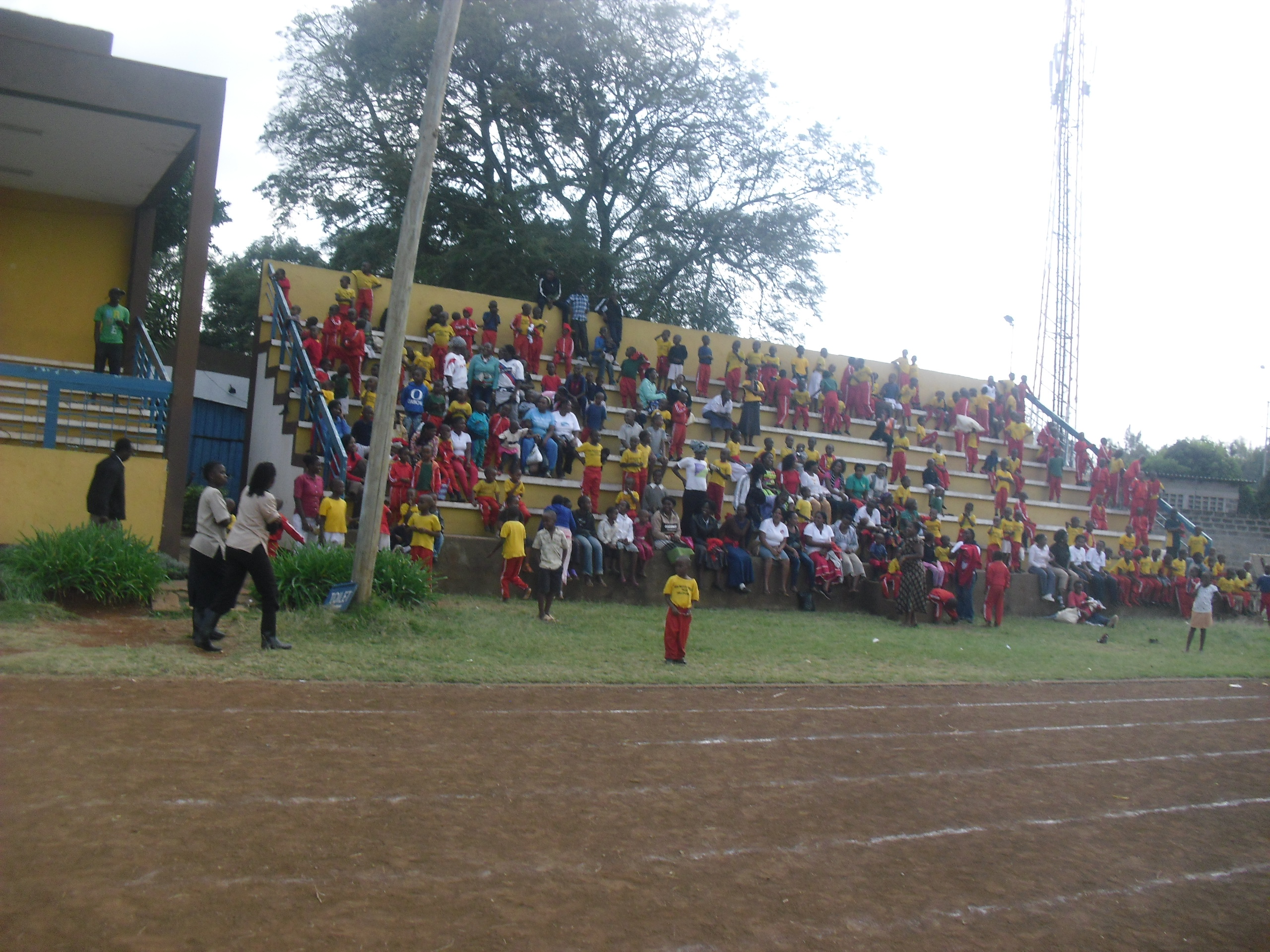 sports 11