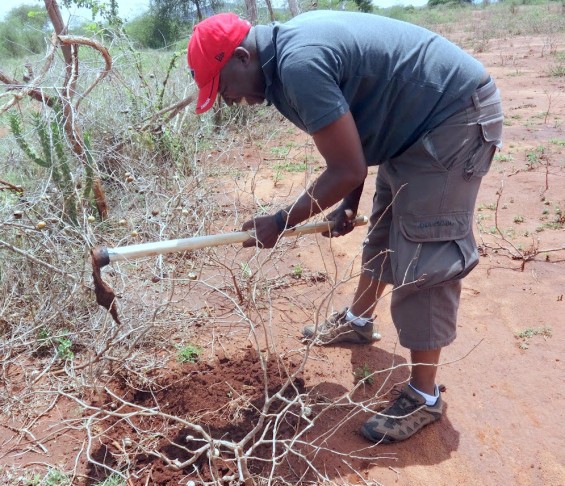 Pastor Bob digs the project