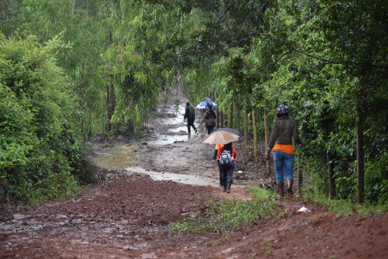 Staff on the walking trail