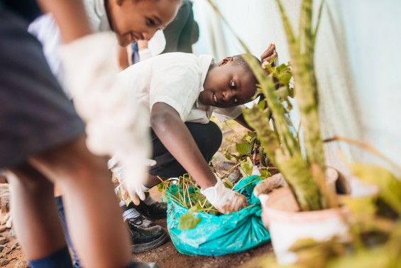 Lessons in sustainability