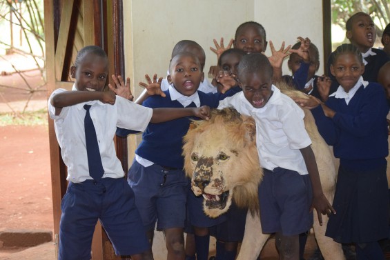 Getting close the Lion